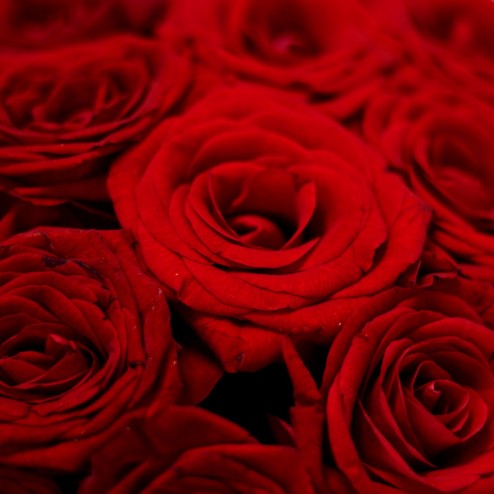 Coeur de roses - Livraison fleurs Deuil