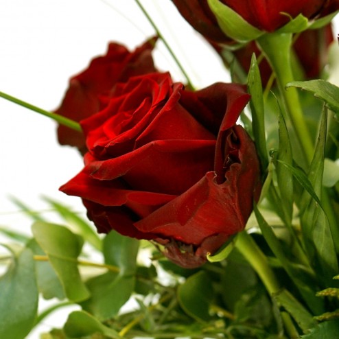 Roses rouges par votre fleuriste à Marseille