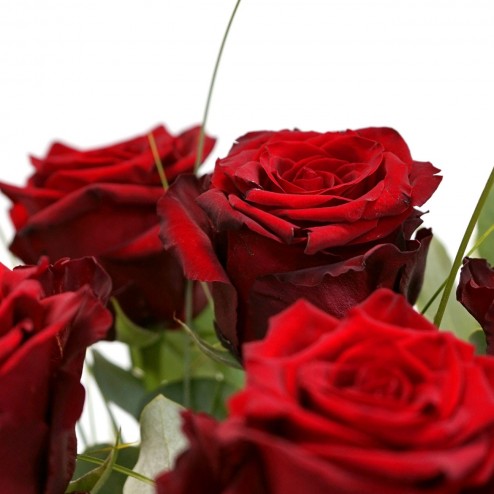 Roses rouges par votre fleuriste à Marseille